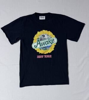 Awake NY Strawberry Kiwi Tee Black Logo T-Shirt - Men's Small